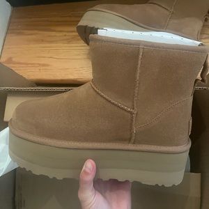 UGG Classic Mini Platform in Chestnut - NEW